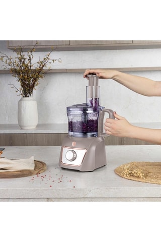 Robot de cuisine en acier inoxydable Taupe - 500 W - 2 vitesses - Doré, argenté et gris