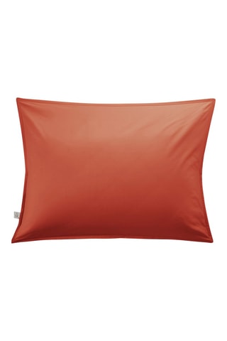 Funda de almohada de percal de algodón 80 hilos/cm² Bally - Terracota