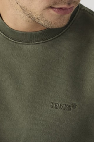 Sweater Authentic - Kakigroen - Groen
