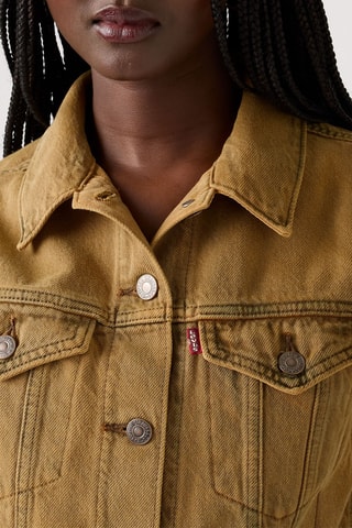 Mouwloos spijkerjasje Xs Vest W/ Waistband Pooled Tobacco Brow - Bruin