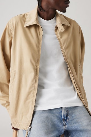 Jasje Coloma Classic - Beige - Beige