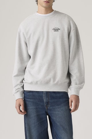 Sweater Relaxd Graphic Crew Coastal Creative Lig - Grijs
