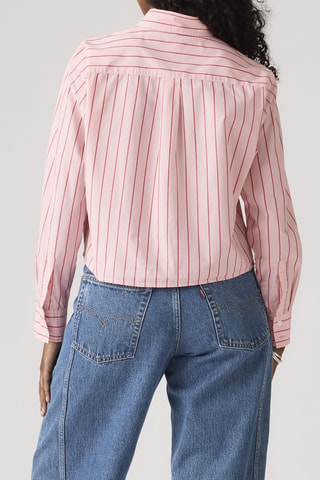 Blouse Cropped Harlie Hug Stripe Peachski - Roze