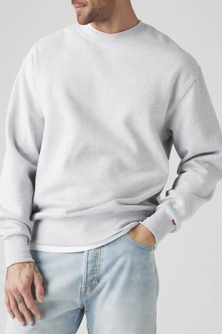 Sweater Authentic - Lichtgrijs - Grijs