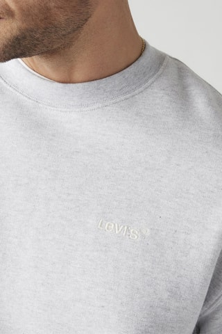 Sweater Authentic - Lichtgrijs - Grijs