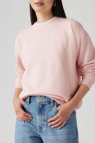 Sweater Everyday Potpourri Brushed - Roze