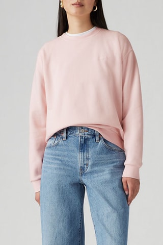 Sweater Everyday Potpourri Brushed - Roze