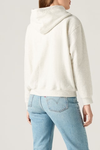Sweater met Capuchon Everyday - Grijs