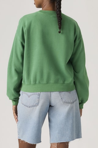 Sweater Vintage Boxy H126 Pine - Groen