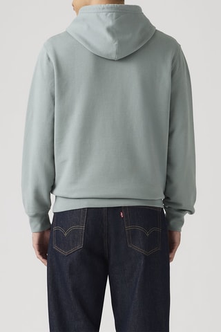 Sweater met Capuchon The Original - Grijs