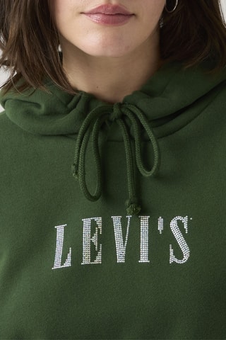 Sweater met Capuchon Graphic Everyday - Donkergroen - Groen