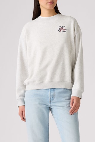 Sweater - Lichtgrijs - Grijs