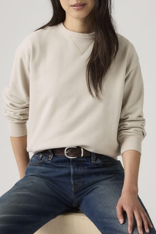 Sweater - Beige - Grijs