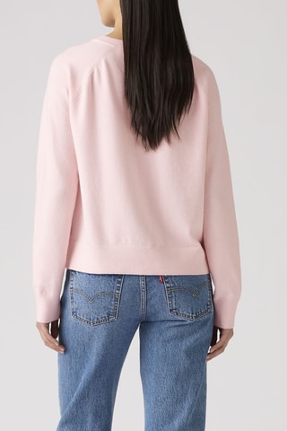 Trui Super Soft Pullover Potpourri - Roze