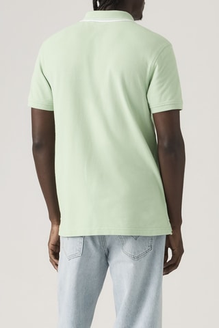 Polo Wood Tipping Stripe Cameo - Groen