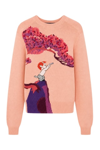 Pull - Corail