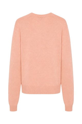 Pull - Corail