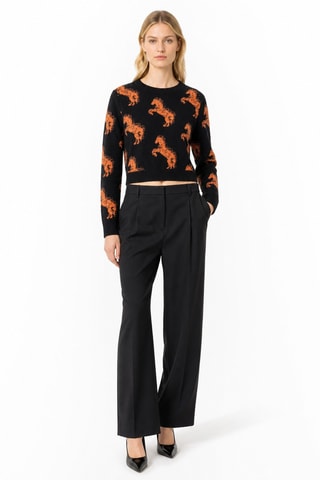 Pull - Multicolore