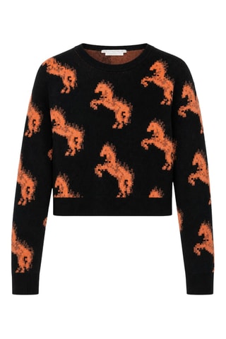 Pull - Multicolore