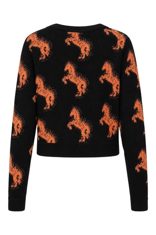 Pull - Multicolore