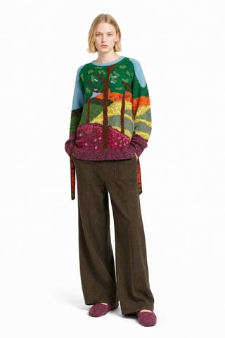 Pull en laine vierge - Multicolore