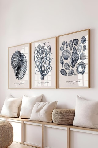 3 cuadros - 50 x 70 cm