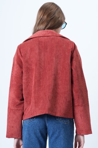 Veste - Marron