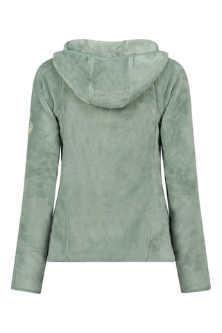 Veste polaire à capuche Upaloodeak - Vert