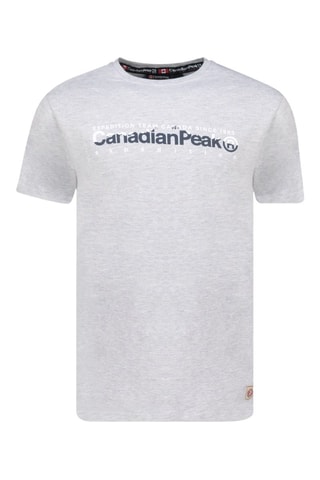 T-shirt Jopeakeak - Grijs