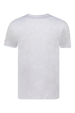 T-shirt Jopeakeak - Grijs