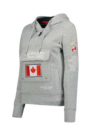 Sweat à capuche - Gris
