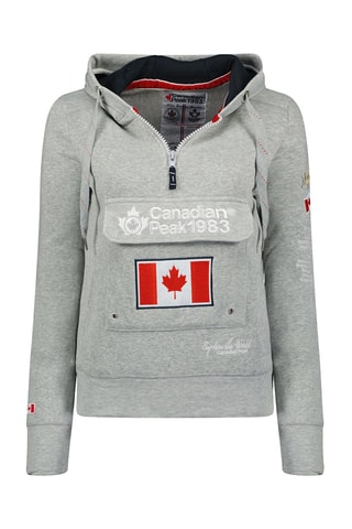 Sweat à capuche Gyrelle - Gris