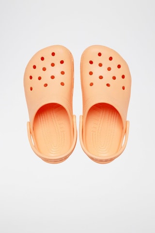 Sabots Classic - Orange