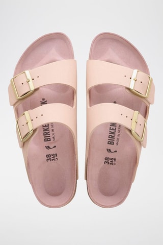Mules Arizona - Rose