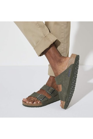 Mules Arizona - Vert