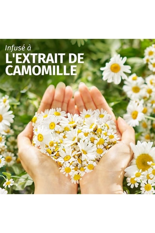 Shampoing Camomille Herbal Essences - 250 ml