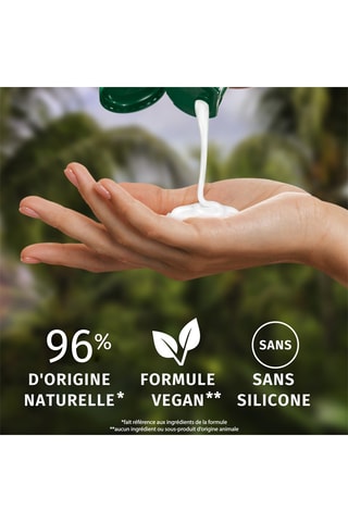 Shampoing Hydratation Parfum Noix de Coco - 250 ml - Herbal Essences