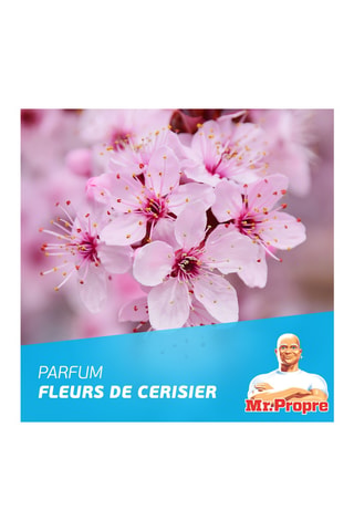 Spray nettoyant Mr. Propre fleurs de cerisier - 800 ml - MASQUE MANQUE INFO