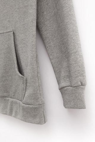 Sweat à capuche - Gris