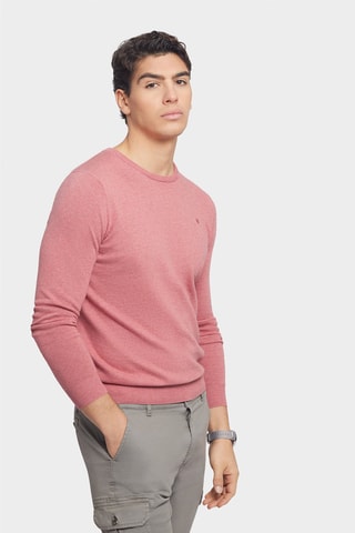 Pull - Corail