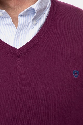 Pull - Violet