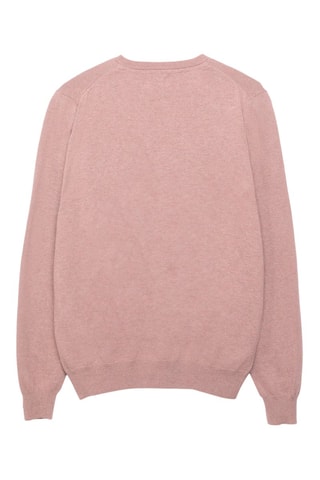 Pull - Corail