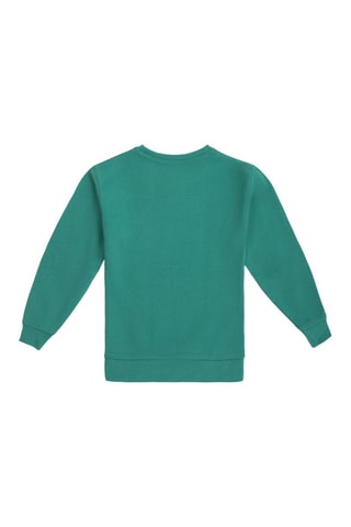 Sweat - Vert