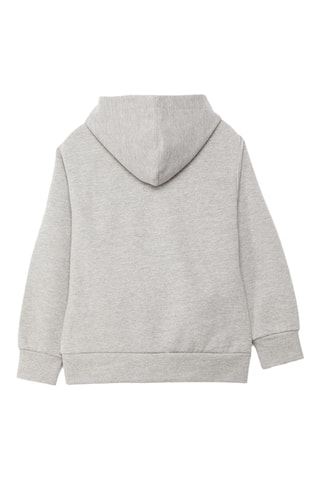 Sweat à capuche - Gris