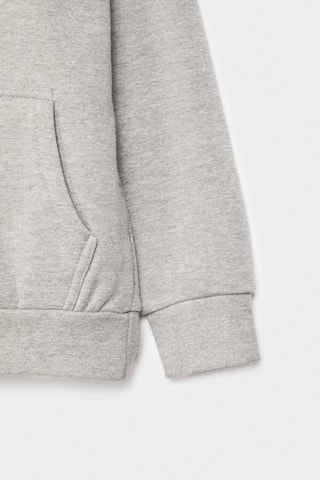 Sweat à capuche - Gris