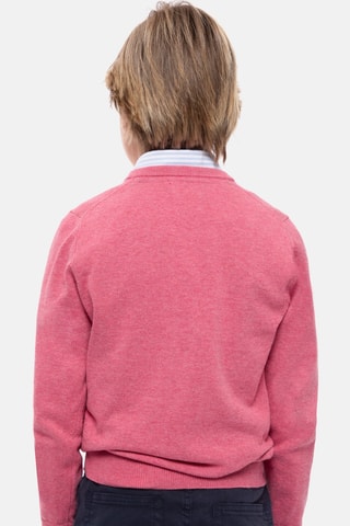 Pull - Rose