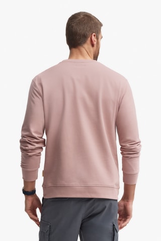 Sweat - Rose