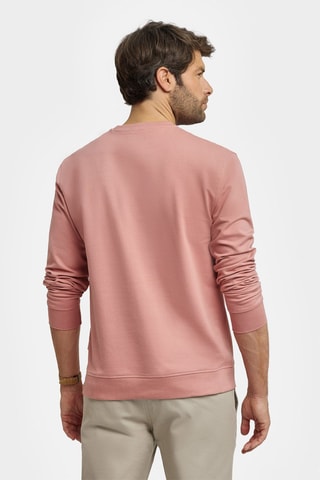 Sweat - Fuchsia