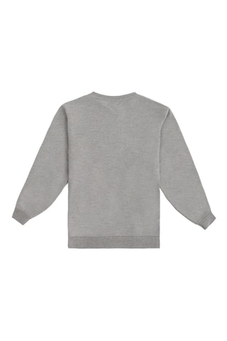 Sweat - Gris