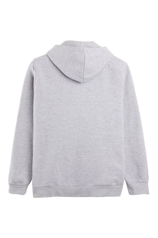 Sweat à capuche en coton biologique - Gris